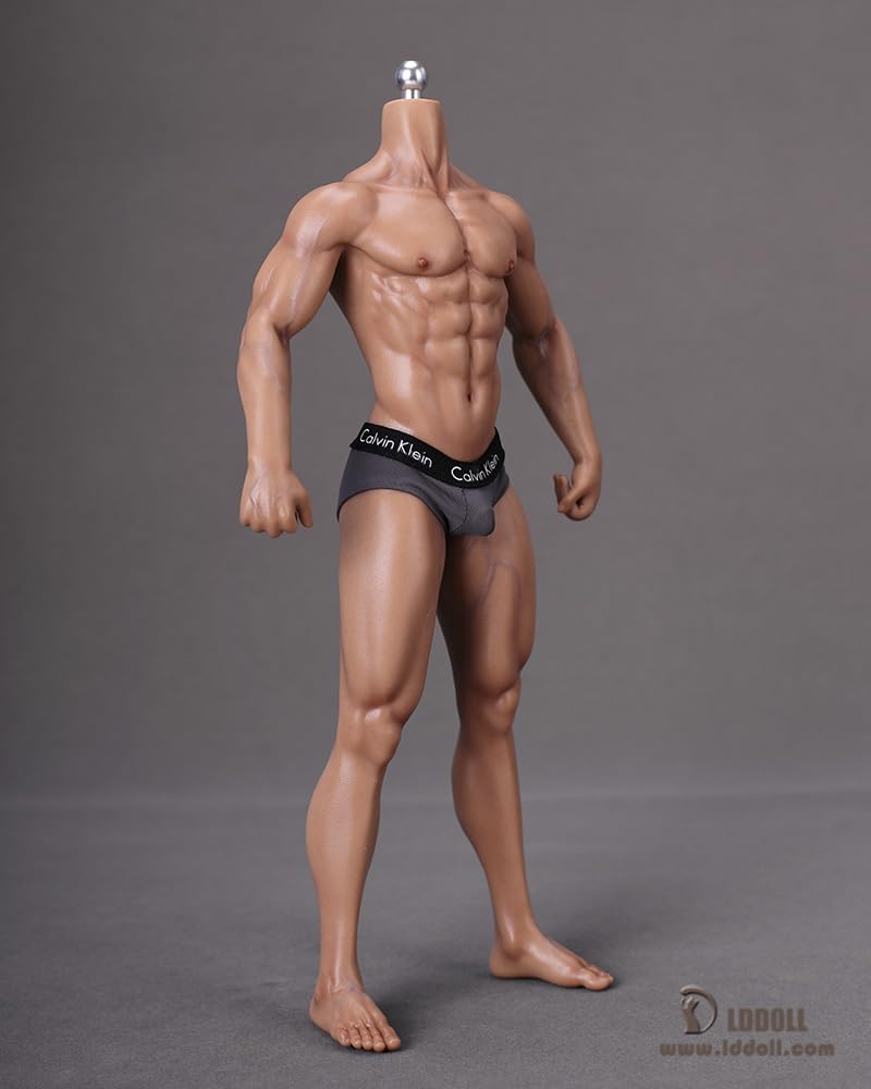 Amazon.co.jp: 【LDDOLL】1/6 男性 シームレス 素体 フィギュア ボディ